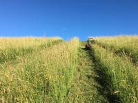 Fűnyíró traktor által nehezen nyírható terep Fűnyíró traktor által nehezen nyírható terep